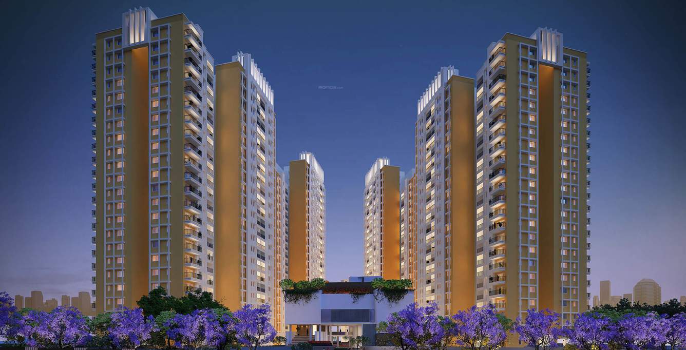  buena vista Images for Elevation of Brigade Buena Vista