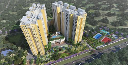  buena-vista Images for Elevation of Brigade Buena Vista