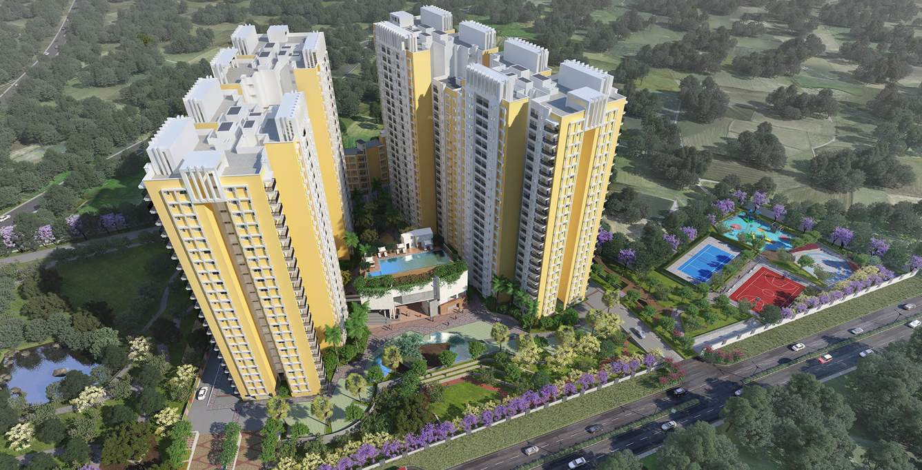  buena vista Images for Elevation of Brigade Buena Vista