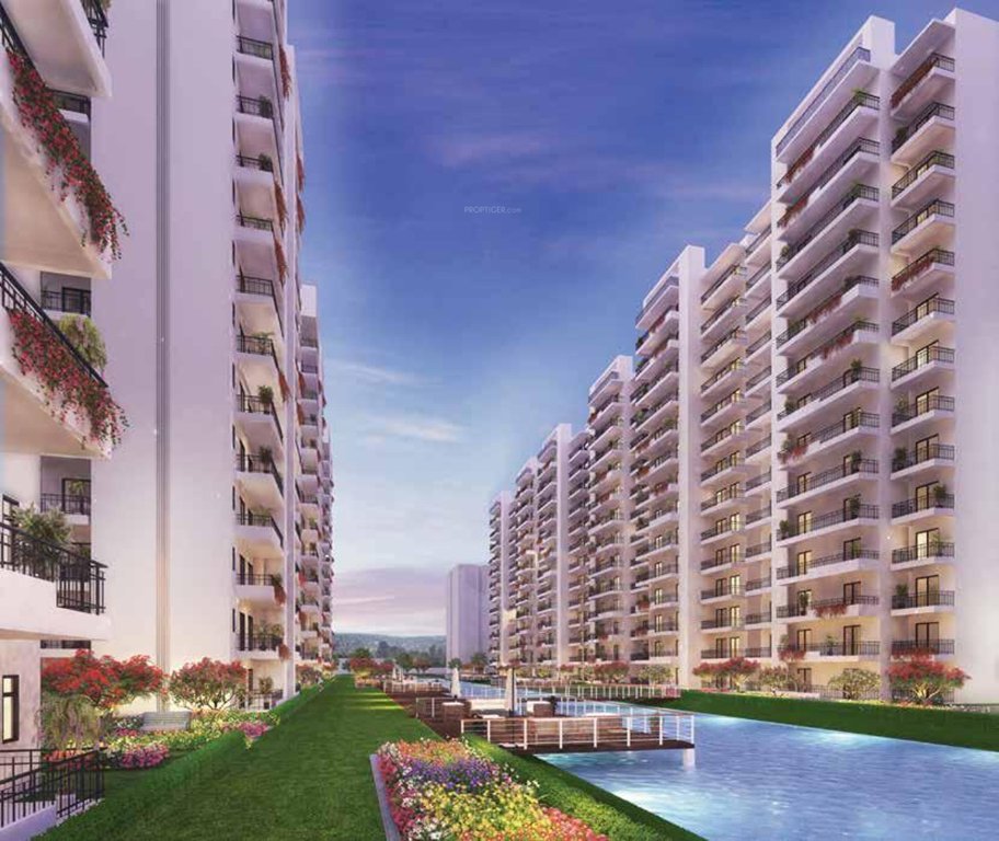  central park flower valley Images for Project