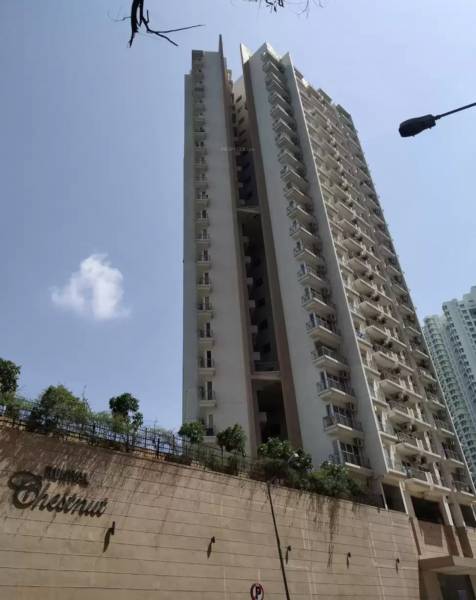  chestnut Images for Project