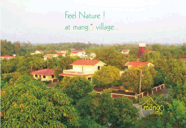 Images for Main Other of Nirvana Mango Village