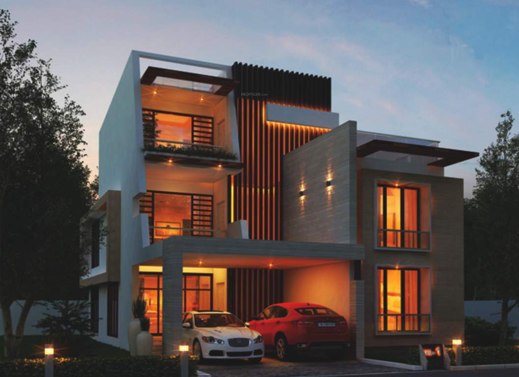  insignia Images for Elevation of Asset Insignia