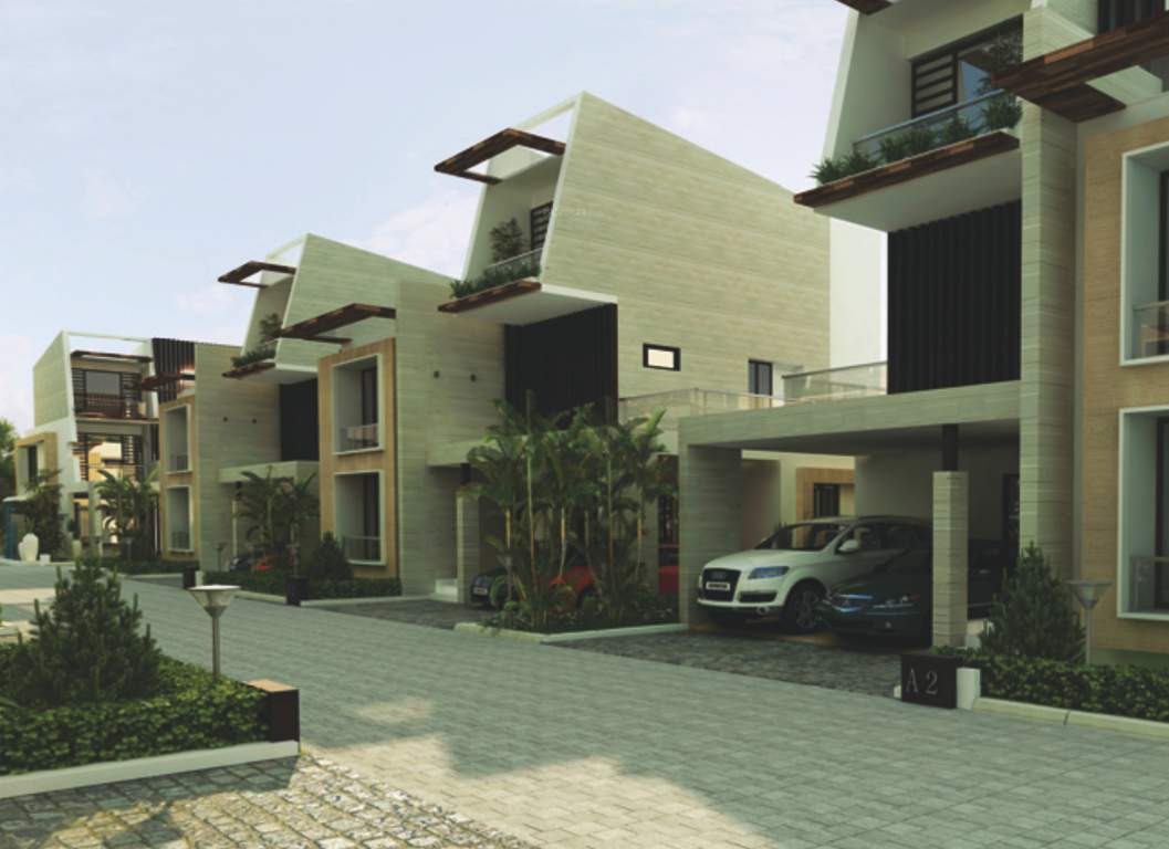  insignia Images for Elevation of Asset Insignia