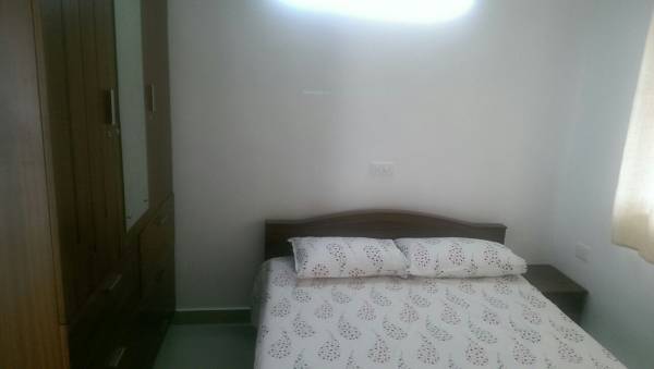 Images for Main Other of Ventura Tulip