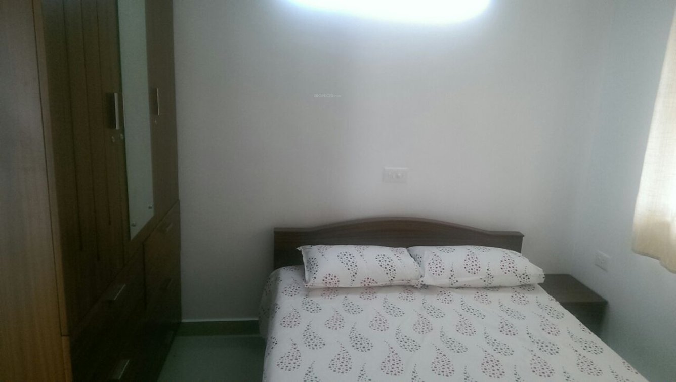 Images for Main Other of Ventura Tulip