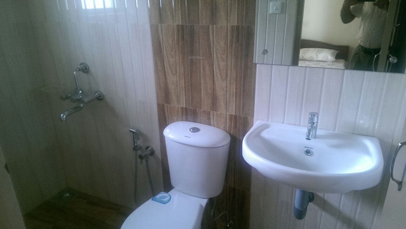 Images for Main Other of Ventura Tulip