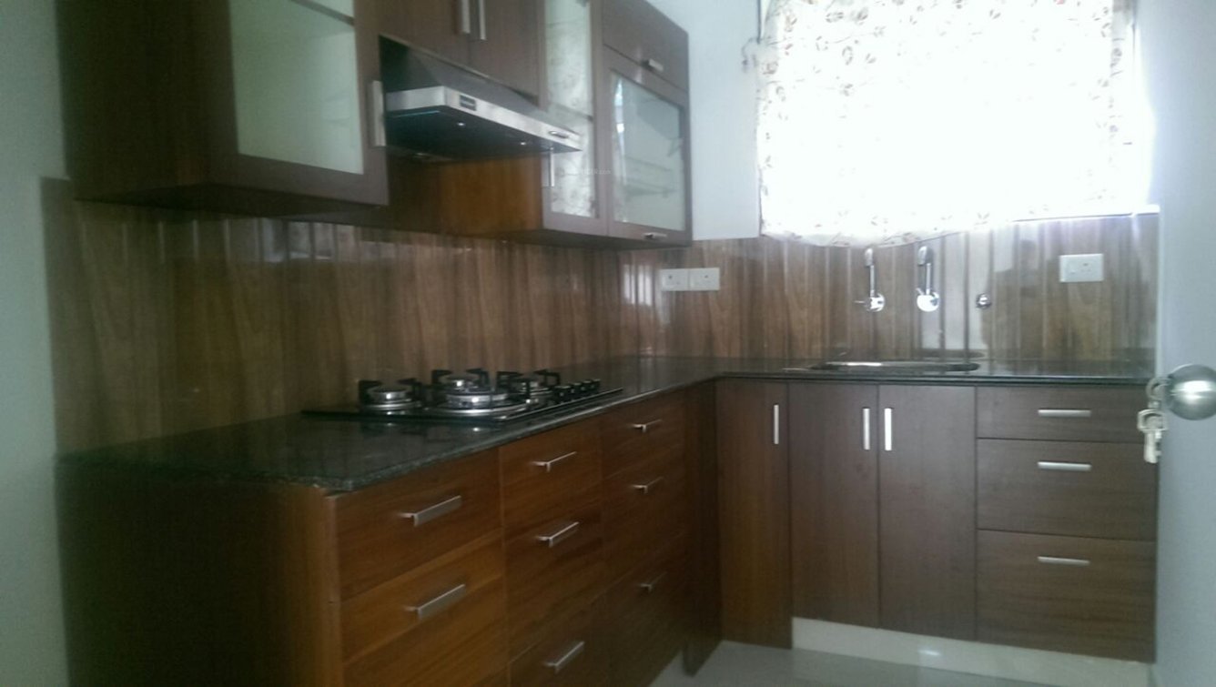 Images for Main Other of Ventura Tulip