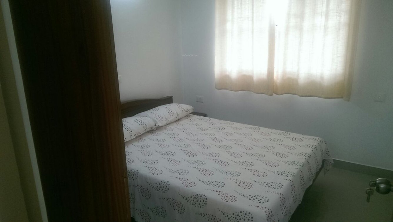 Images for Main Other of Ventura Tulip