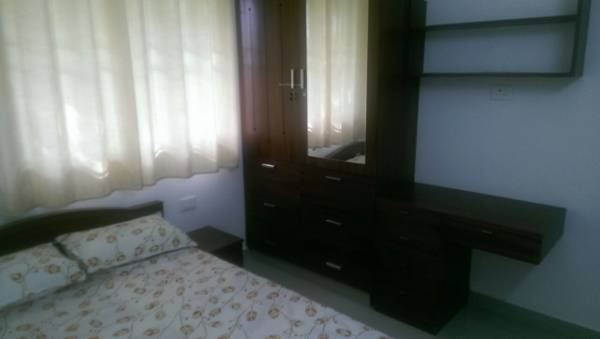 Images for Main Other of Ventura Tulip