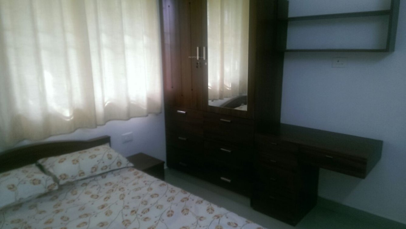 Images for Main Other of Ventura Tulip