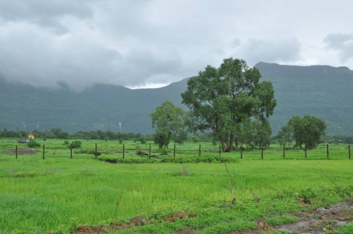 Images for Amenities of Vishwa Nature Paradise