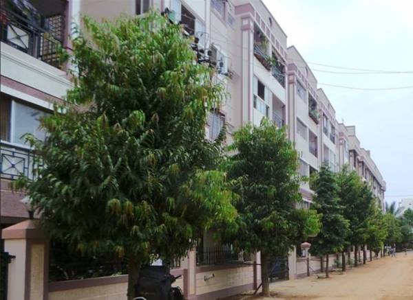 Images for Elevation of Abhinav Projects Golden Palms Images for Elevation of Abhinav Projects Golden Palms