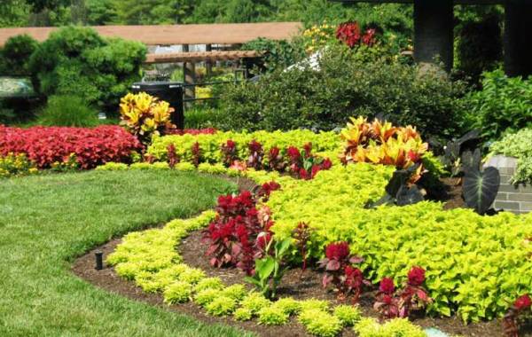 Images for Amenities of Enrich Eva Images for Amenities of Enrich Eva