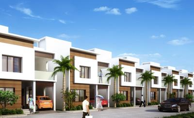  amber Images for Elevation of Nova Amber