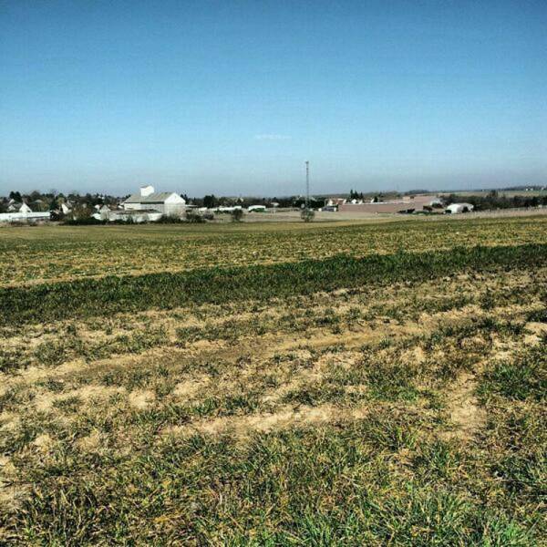 Images for Main Other of Koras The Future City