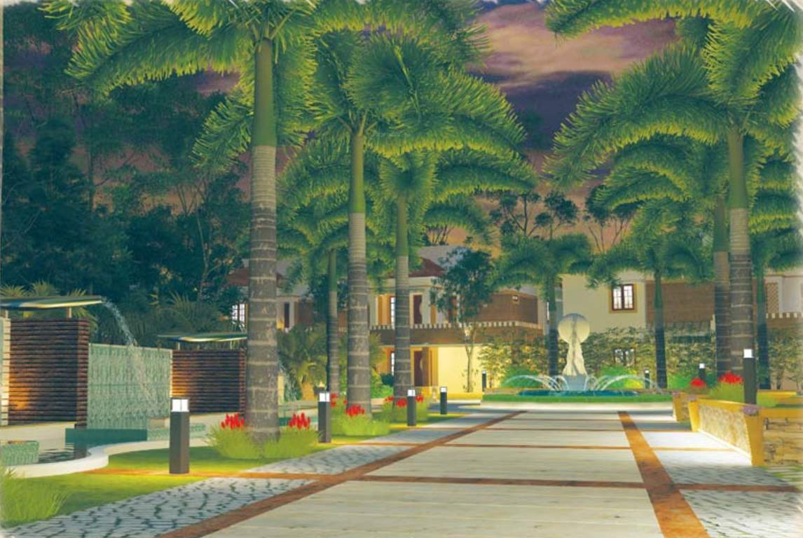  kasavu Images for Main Other of Asset Kasavu