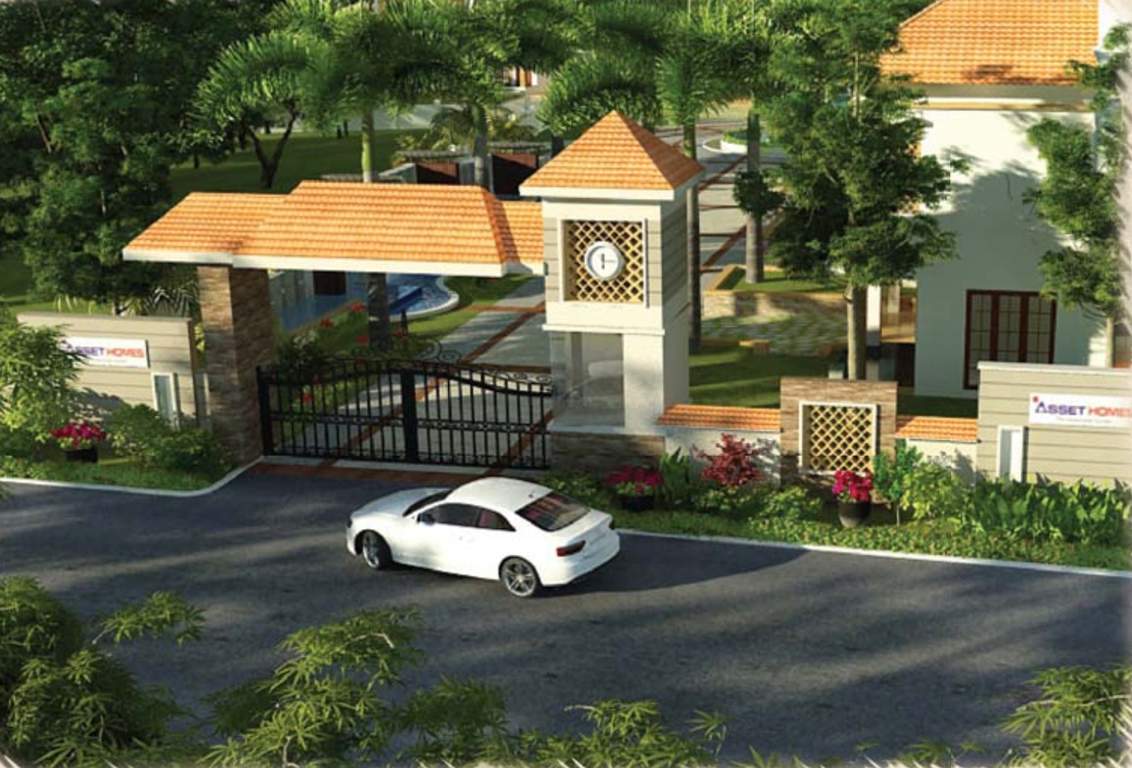  kasavu Images for Main Other of Asset Kasavu