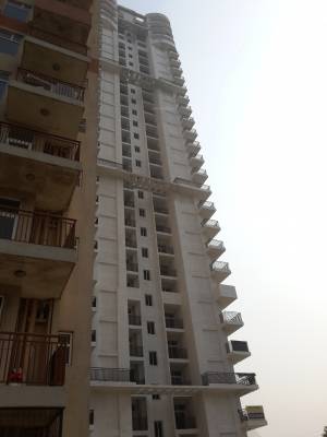  iris-tower Images for Project