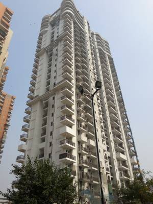  iris-tower Images for Project