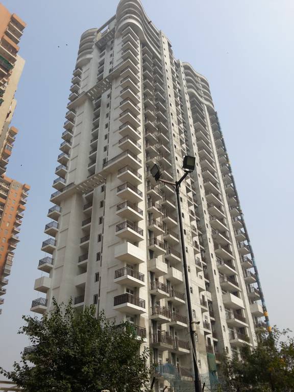  iris tower Images for Project