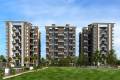 Atrium Homes Skyward