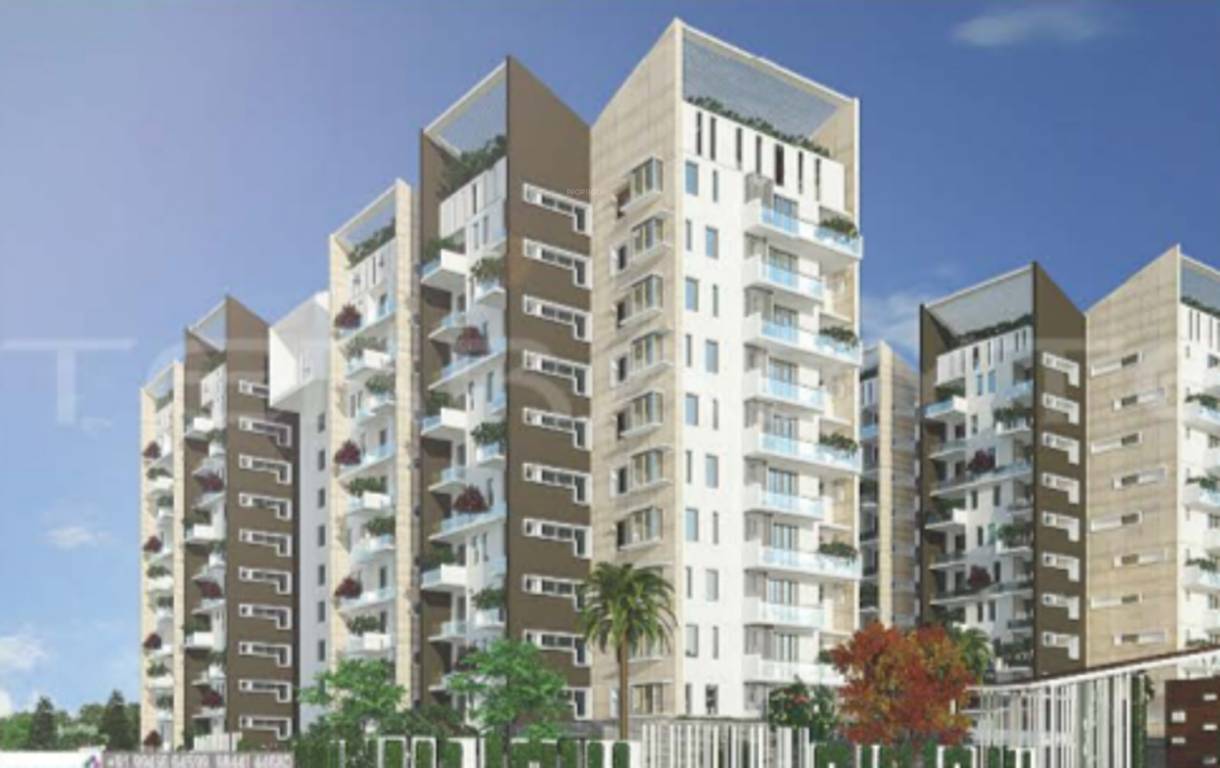 sequoia Images for Elevation of Marvel Sequoia