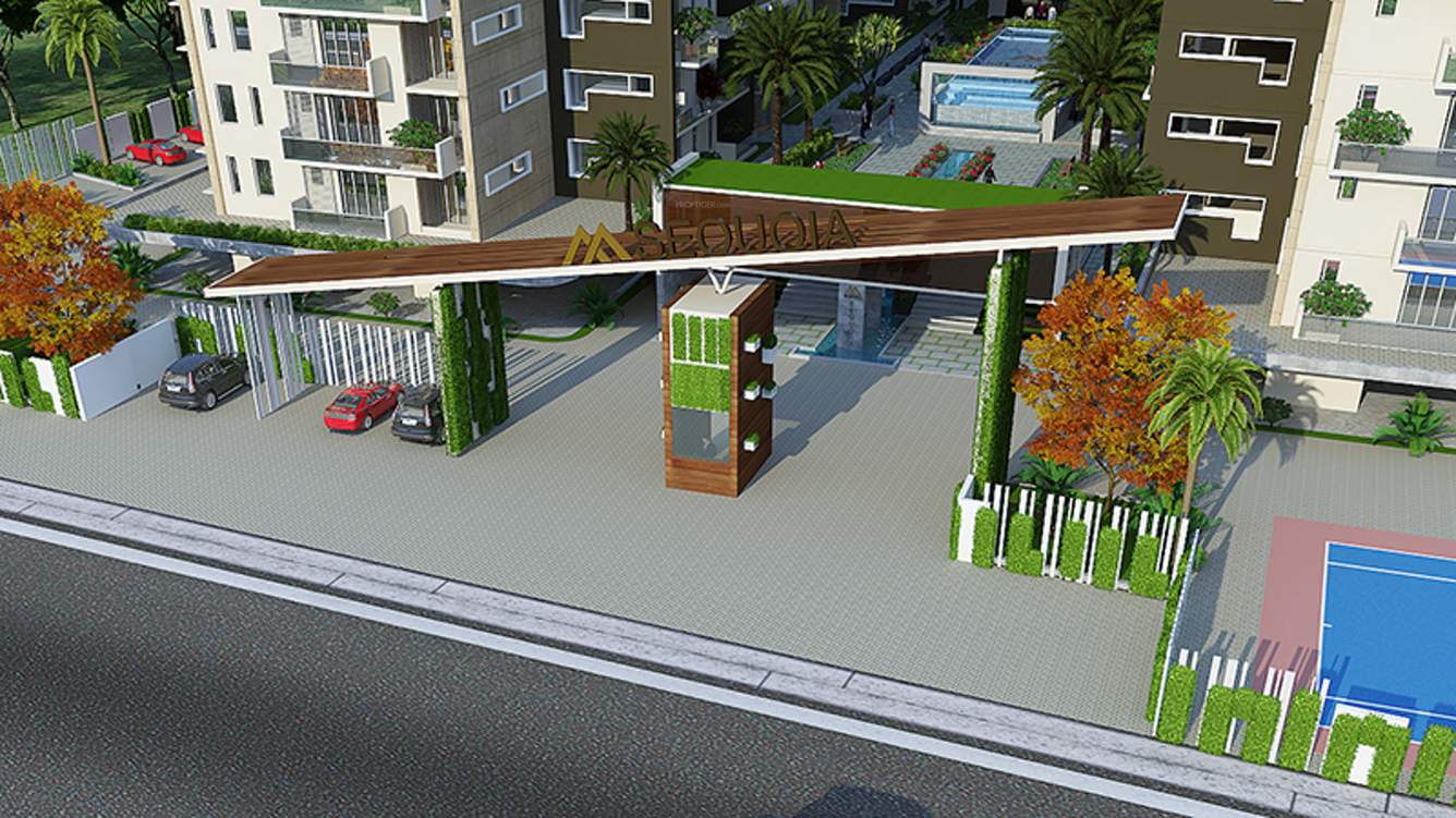 sequoia Images for Main Other of Marvel Sequoia