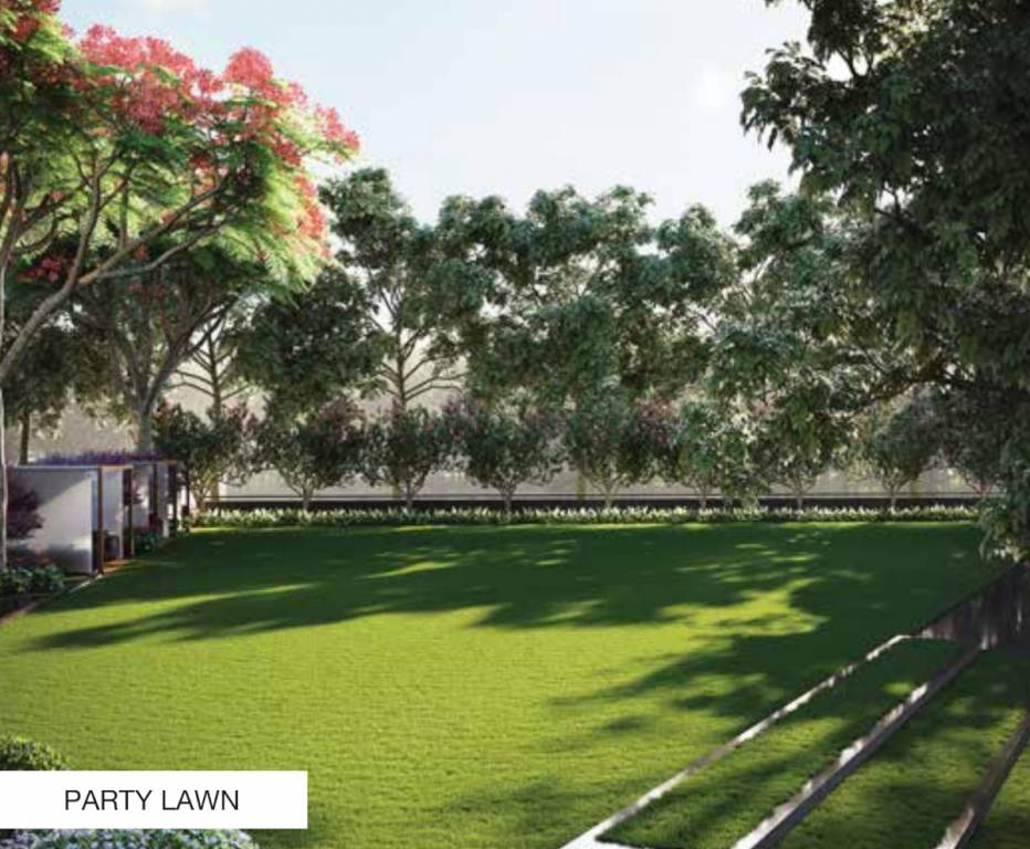 highliving district Party Lawn