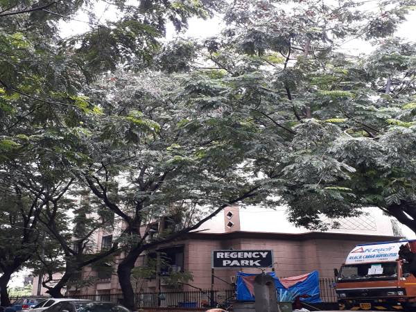 Elevation regency-park-society Elevation