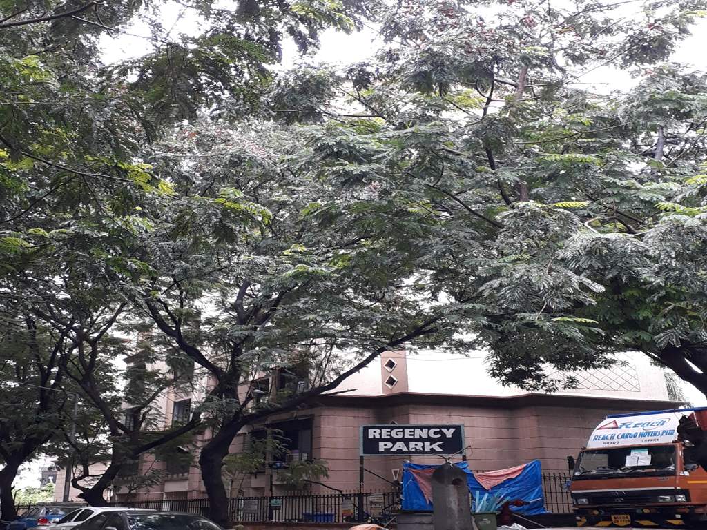  regency park society Elevation