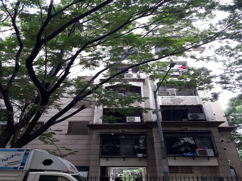  regency park society Elevation