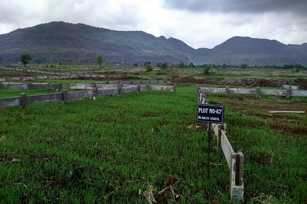  mega city phase 2 Elevation