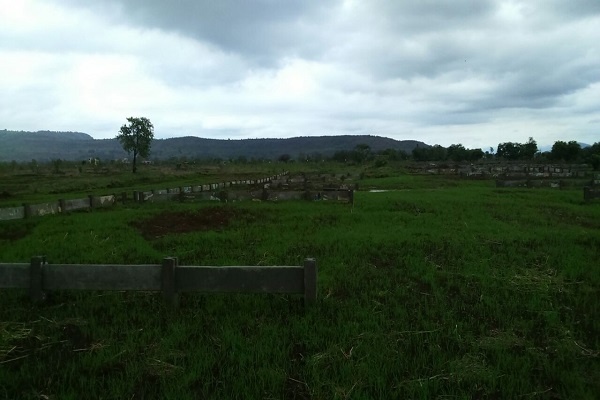  mega city phase 2 Elevation