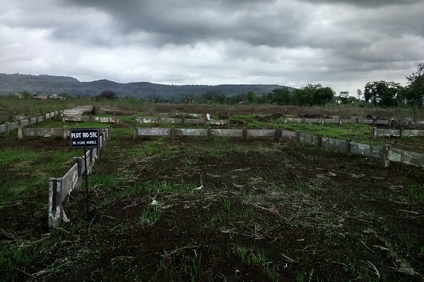  mega city phase 2 Elevation