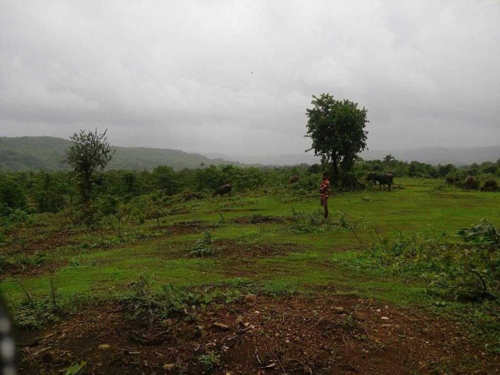  mega city phase 2 Images for Main Other of Roha Mega City Phase 2