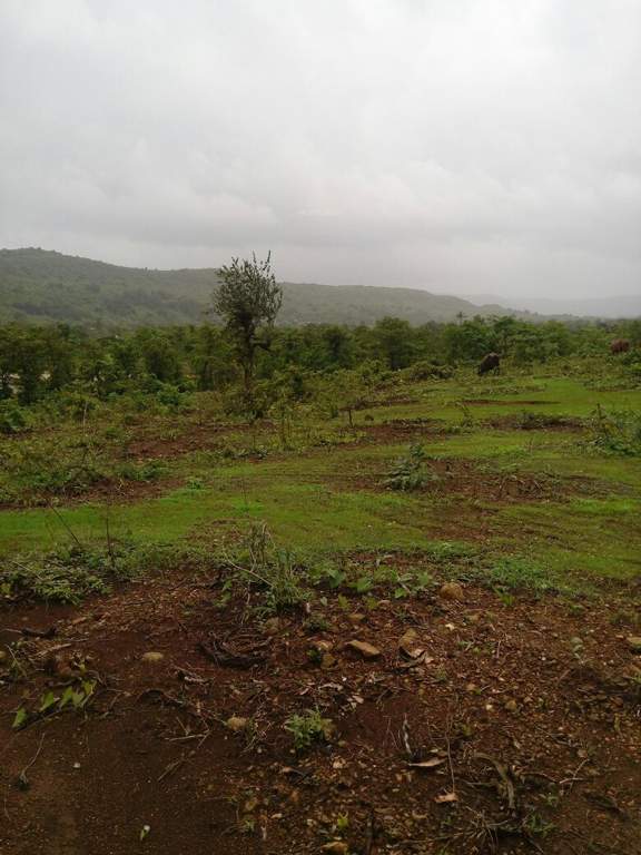  mega city phase 2 Images for Main Other of Roha Mega City Phase 2