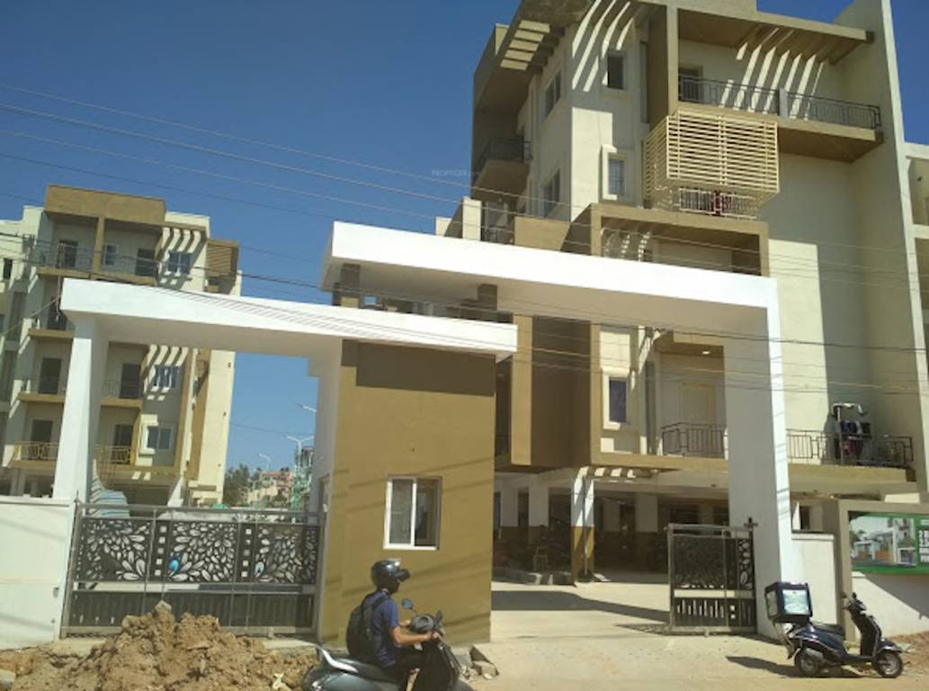  maison douce Elevation