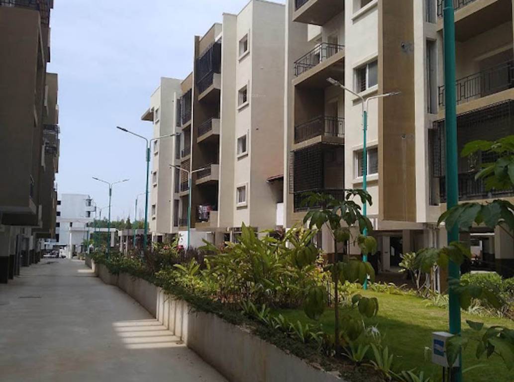  maison douce Elevation