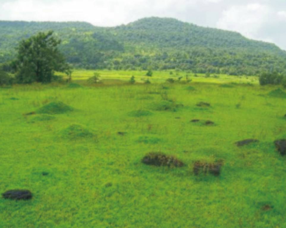 Images for Main Other of Rising Spaces Sai Bliss Phase 2