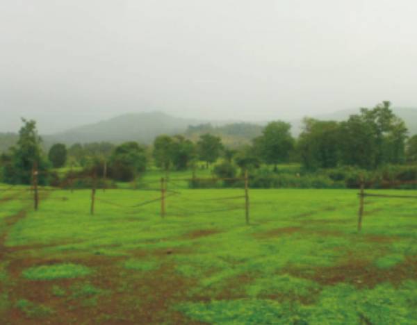 Images for Main Other of Rising Spaces Sai Bliss Phase 2