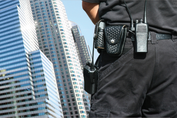 Images for Amenities of Pioneer Evoque