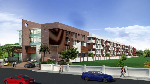  trinity Images for Elevation of Infrany Trinity