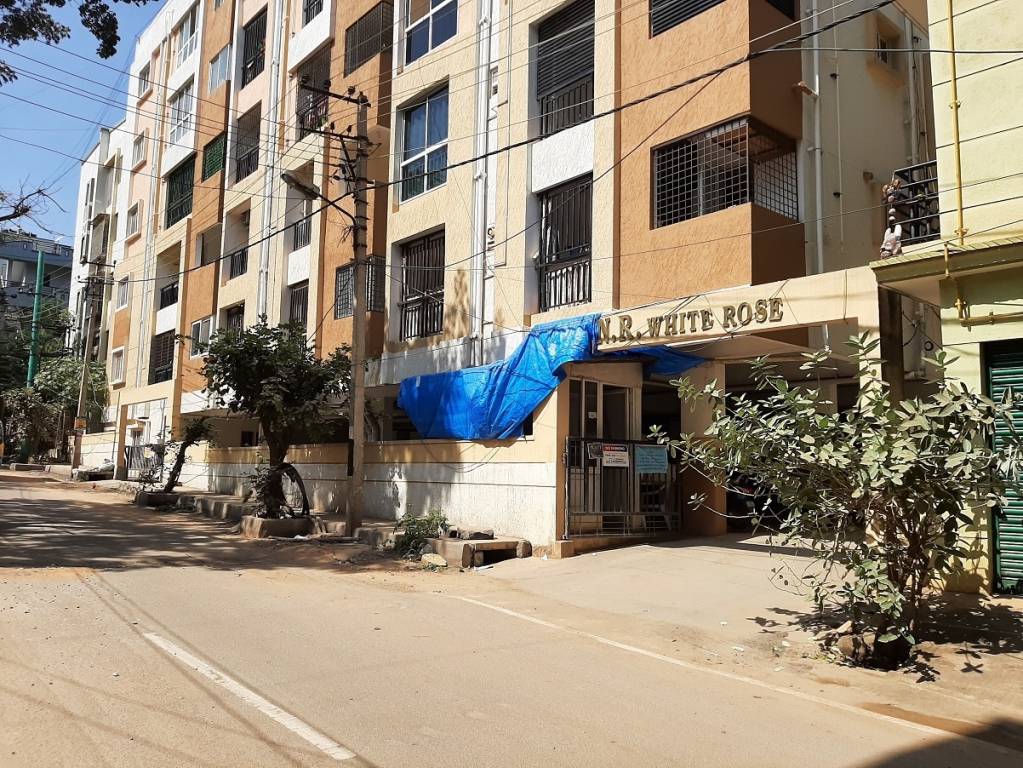 white rose Elevation