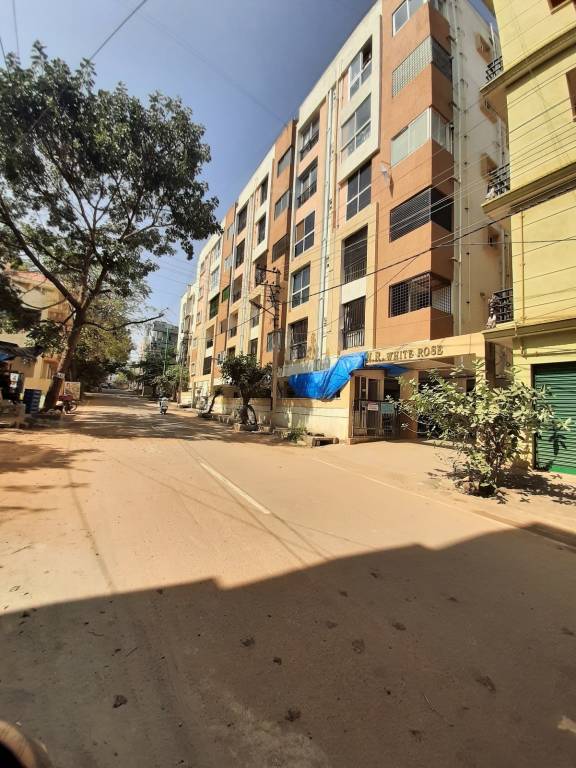 white rose Elevation