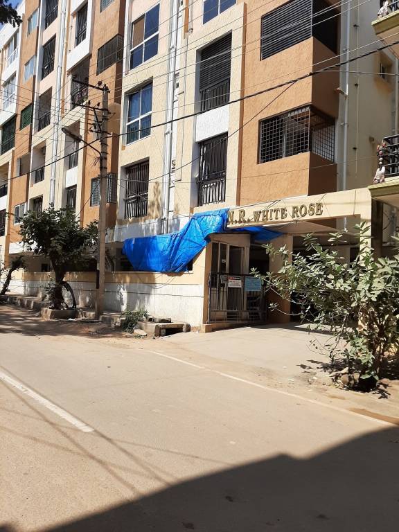 white rose Elevation