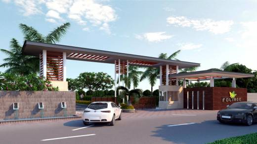 foliage Images for Elevation of Mana Foliage Images for Elevation of Mana Foliage