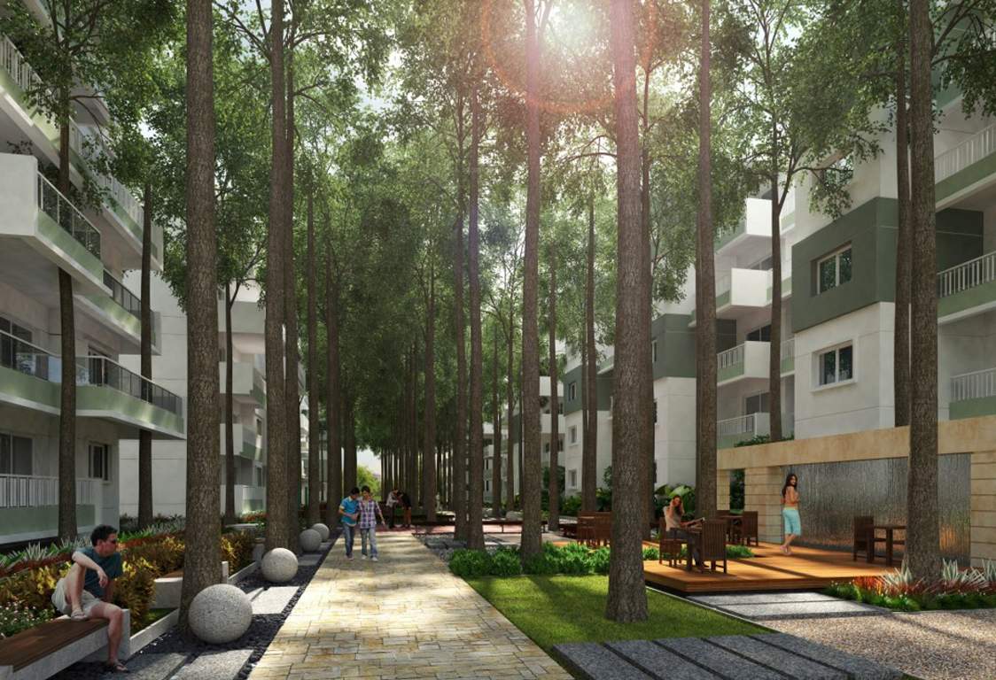  tropicale Images for Amenities of Mana Tropicale