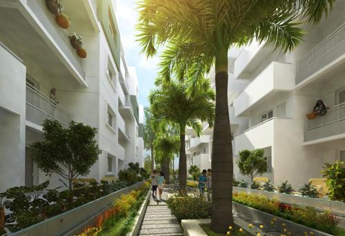  tropicale Images for Amenities of Mana Tropicale