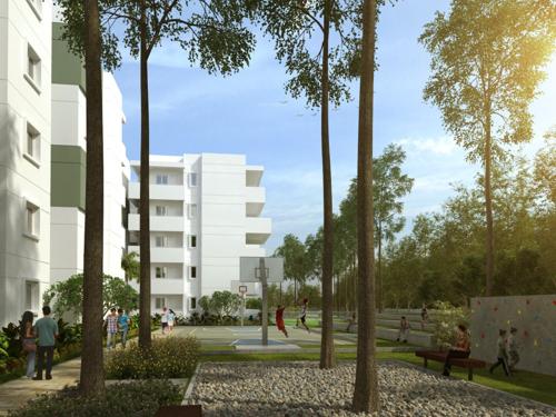  tropicale Images for Amenities of Mana Tropicale